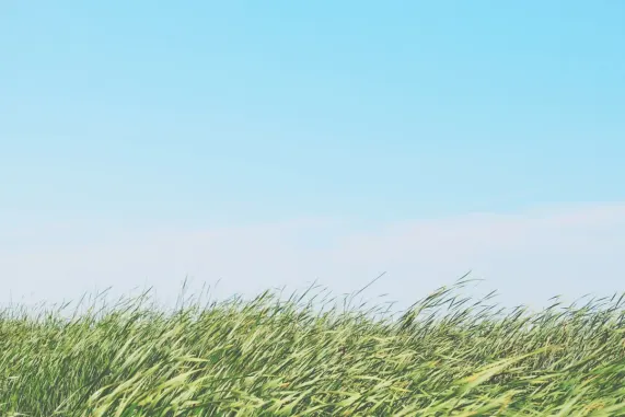 Kaszinó Ted Bingo Támogatás